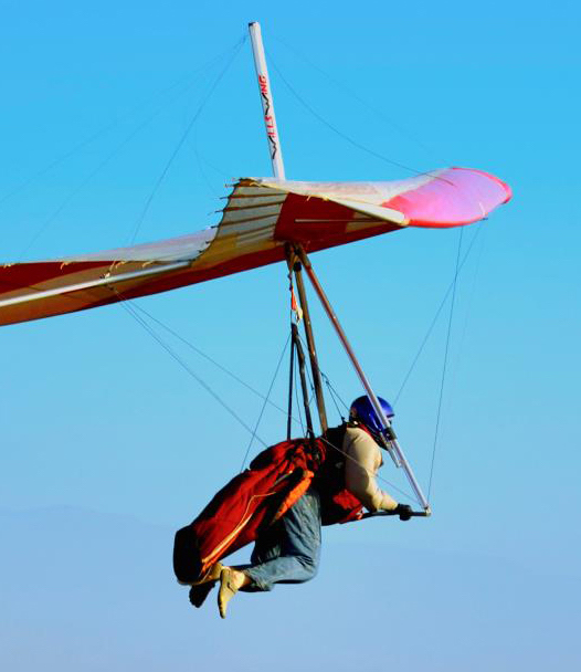 Sandra Sarpong's headshot